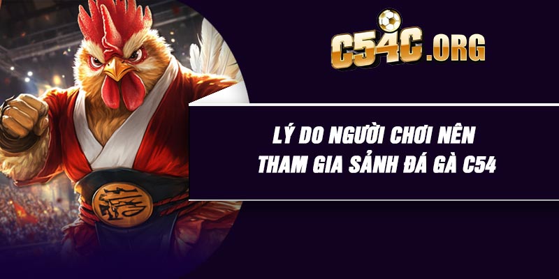 Lý do người chơi nên tham gia sảnh đá gà C54