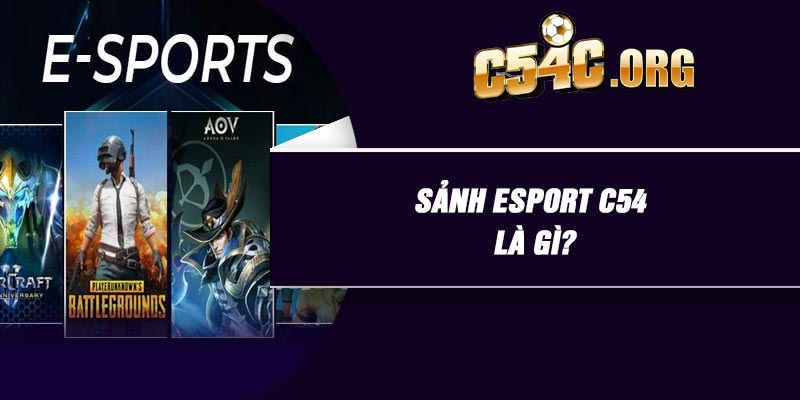 Sảnh esport C54 là gì?