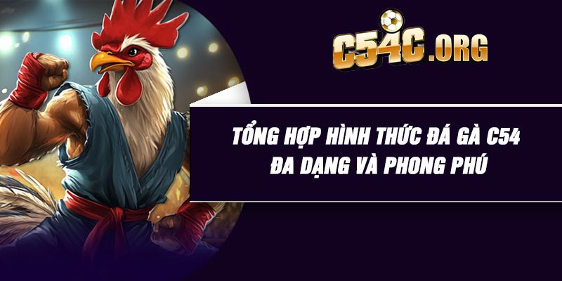 Tổng hợp hình thức đá gà C54 đa dạng và phong phú